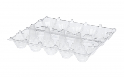 EGG TRAY 10 TYPE A